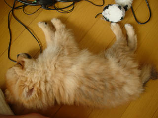 65617f6d.jpg