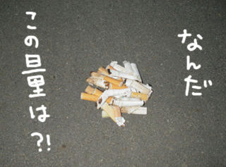 301830e0.jpg