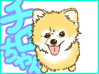 chirochan.jpg