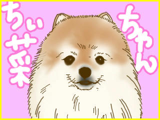 chiinachan.jpg