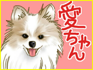 aichan.jpg