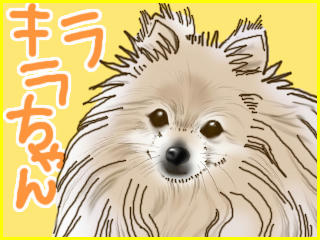 kirara.jpg