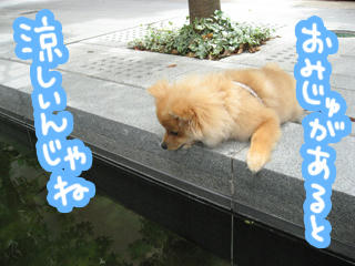IMG_0069.jpg