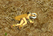 120403.png