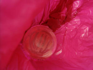 20070711gomi