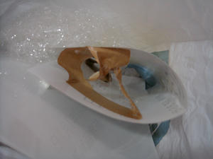 20070712gomi