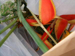 20070713gomi