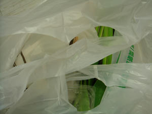 20070717gomi
