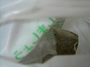20070716gomi