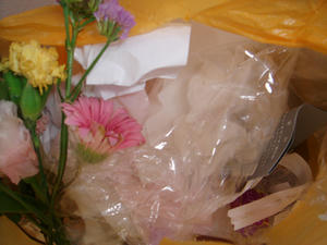 20070715gomi