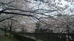 100404_084544.jpg