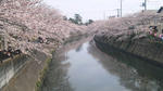 100404_085728.jpg