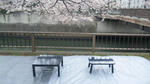 100404_091448.jpg