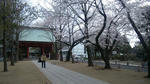 100404_092724.jpg