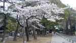 100404_092903.jpg