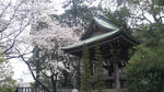 100404_093038.jpg