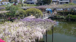 100424_100823.jpg