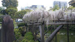 100424_101814.jpg