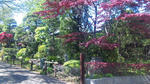 100425_135036.jpg