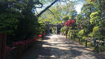 100425_135043.jpg