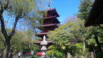 100425_135621.jpg