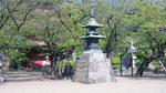 100425_141407.jpg