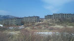 100503_133055.jpg