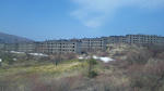 100503_132951.jpg