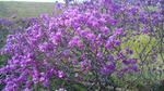 100504_081232.jpg
