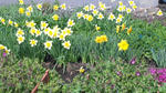 100504_090934.jpg