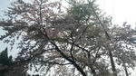100505_084626.jpg