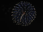 IMG_1639s.JPG