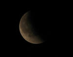 IMG_1805s.JPG