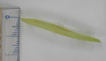 DSCN7871s.JPG