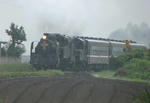 IMG_2000s.JPG
