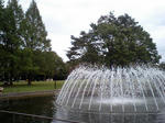 HI370587s.JPG