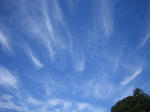 IMG_8049s.JPG