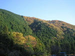 IMG_8823s.JPG