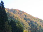 IMG_8822s.JPG
