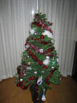 IMG_8903s.JPG