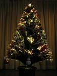 IMG_2069s.JPG