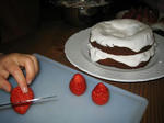 IMG_9077s.JPG