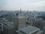 IMG_9320s.JPG