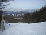IMG_9438s.JPG
