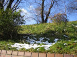 IMG_9626s.JPG