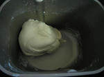 IMG_9716s.JPG