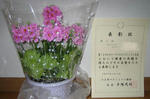 IMG_9697s.JPG