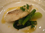 IMG_0622s.JPG