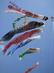 IMG_0681s.JPG