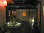 IMG_1081s.JPG